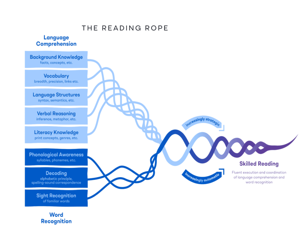 Science of Reading Resources Hub | Tools, PD & Research